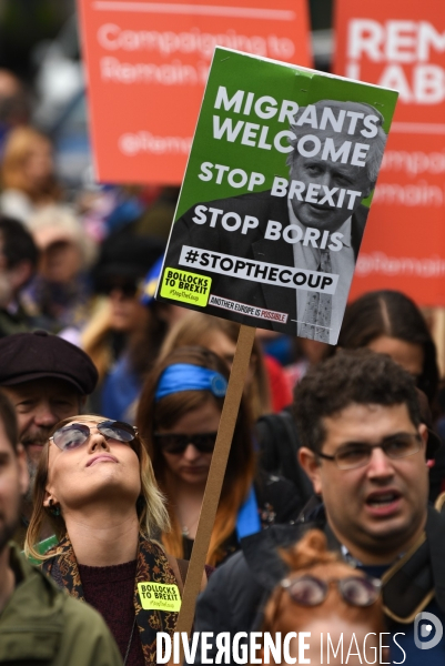 Marche contre le Brexit à Londres