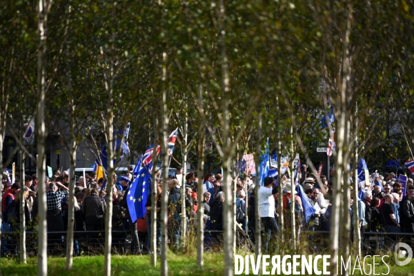 Marche contre le Brexit à Londres