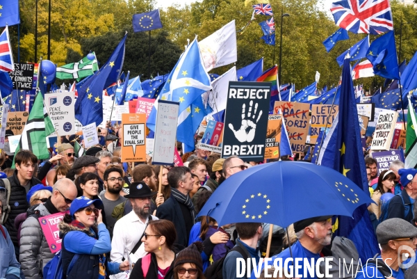 Marche contre le Brexit à Londres