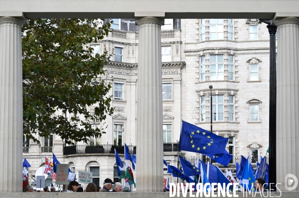 Marche contre le Brexit à Londres