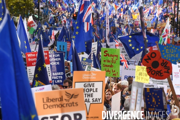 Marche contre le Brexit à Londres