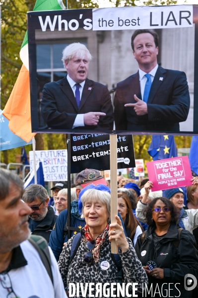 Marche contre le Brexit à Londres