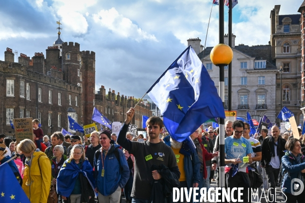 Marche contre le Brexit à Londres