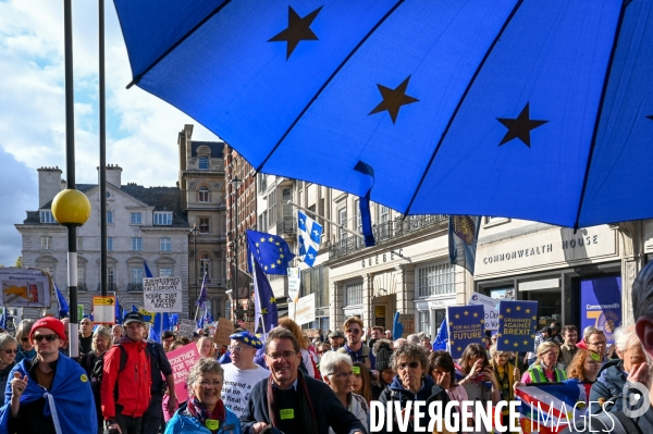 Marche contre le Brexit à Londres