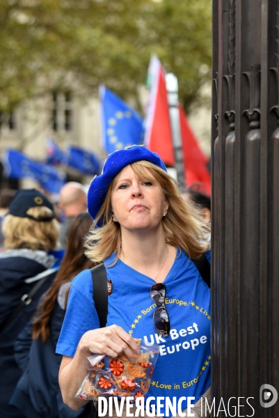 Marche contre le Brexit à Londres