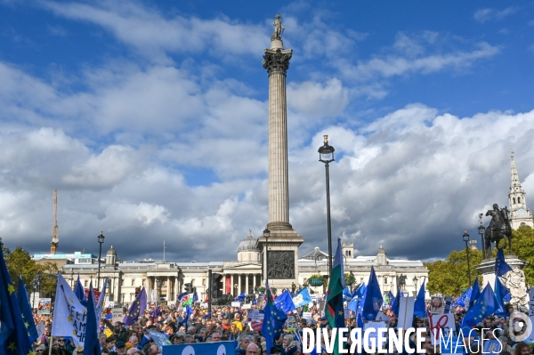 Marche contre le Brexit à Londres