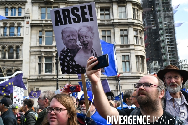 Marche contre le Brexit à Londres