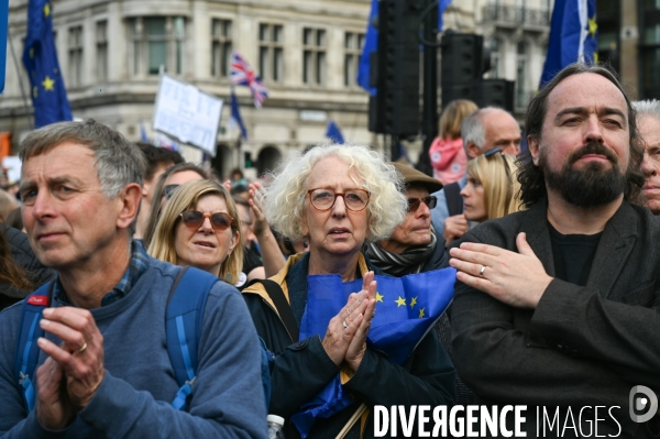 Marche contre le Brexit à Londres