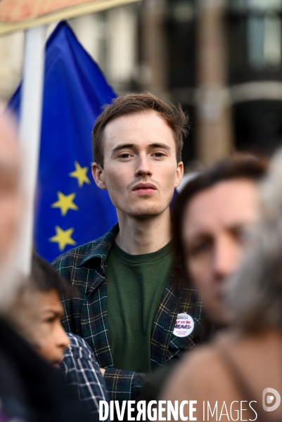 Marche contre le Brexit à Londres