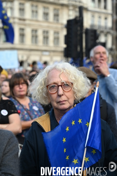 Marche contre le Brexit à Londres