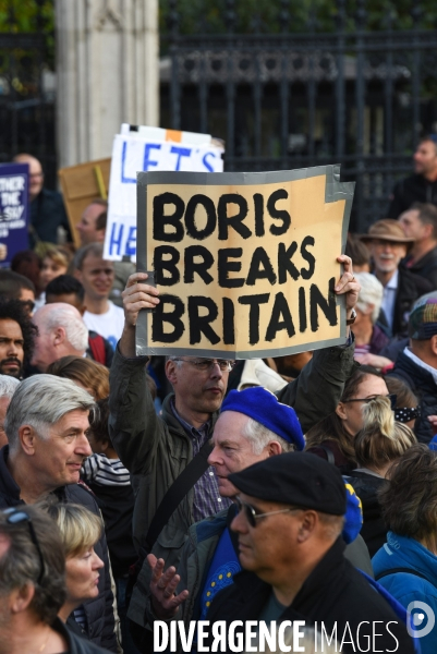 Marche contre le Brexit à Londres