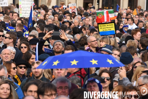 Marche contre le Brexit à Londres