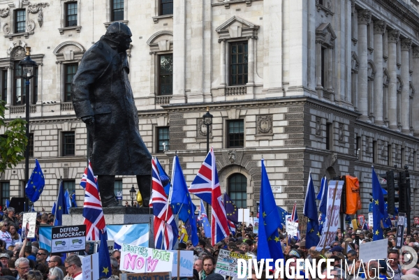 Marche contre le Brexit à Londres