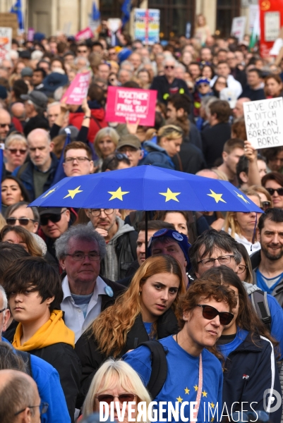 Marche contre le Brexit à Londres