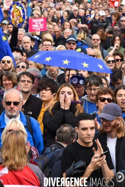 Marche contre le Brexit à Londres