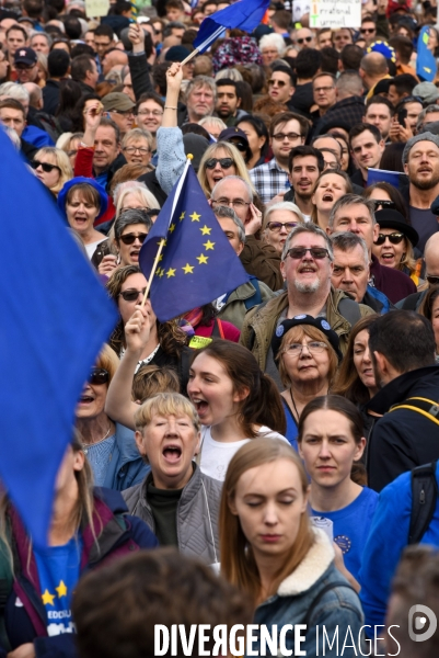 Marche contre le Brexit à Londres