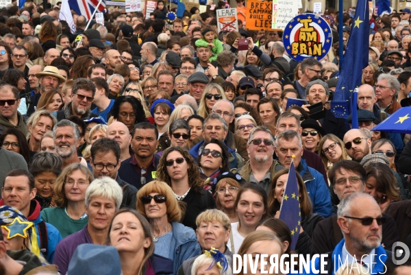 Marche contre le Brexit à Londres