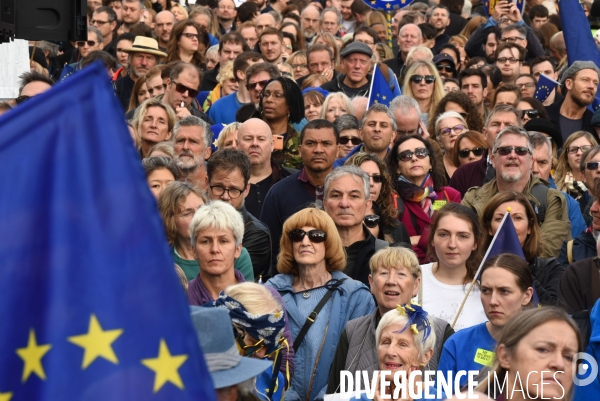 Marche contre le Brexit à Londres
