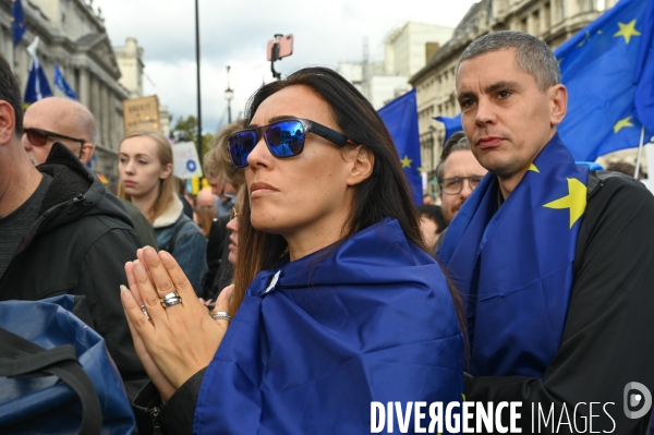 Marche contre le Brexit à Londres