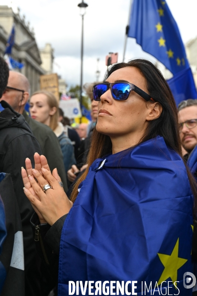 Marche contre le Brexit à Londres