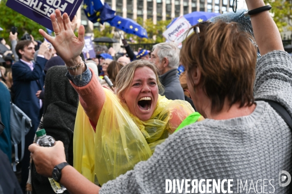 Marche contre le Brexit à Londres