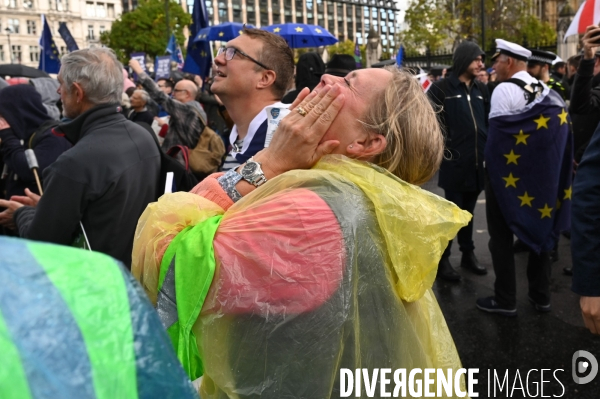 Marche contre le Brexit à Londres