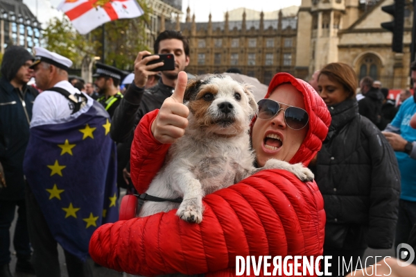 Marche contre le Brexit à Londres