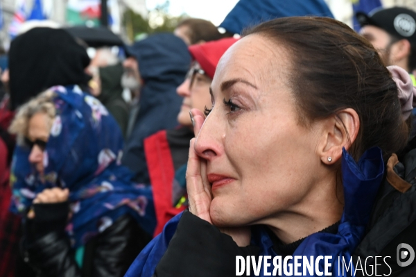 Marche contre le Brexit à Londres