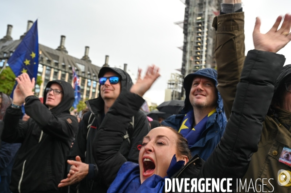 Marche contre le Brexit à Londres