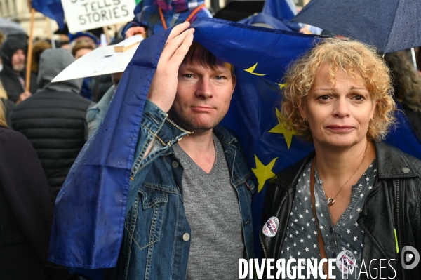 Marche contre le Brexit à Londres