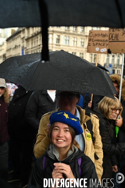 Marche contre le Brexit à Londres