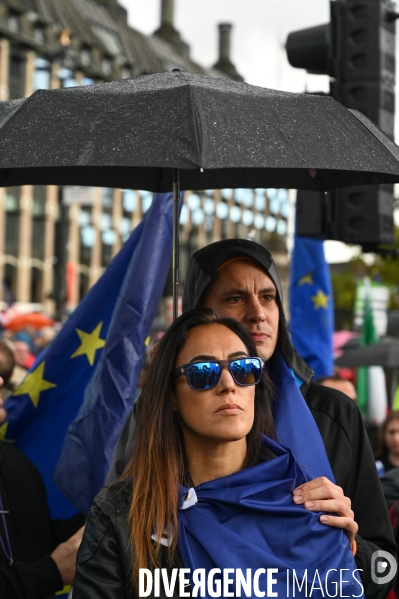 Marche contre le Brexit à Londres