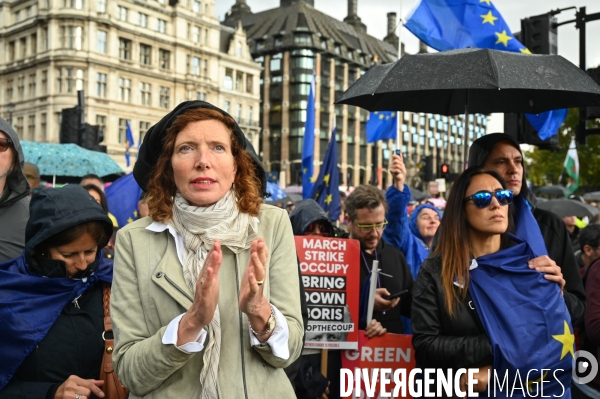 Marche contre le Brexit à Londres
