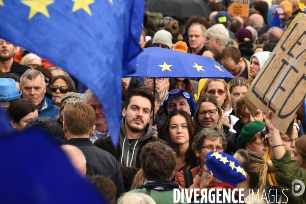 Marche contre le Brexit à Londres