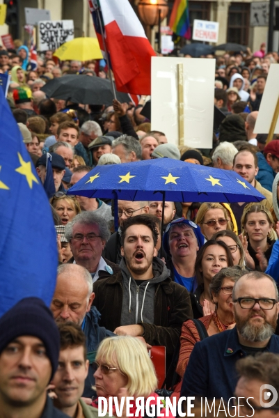 Marche contre le Brexit à Londres