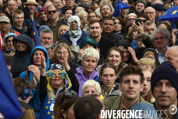 Marche contre le Brexit à Londres