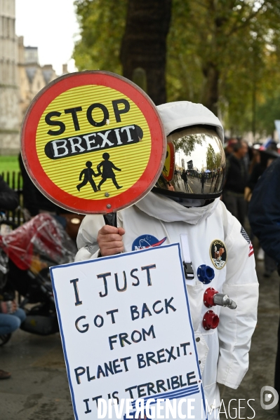 Marche contre le Brexit à Londres