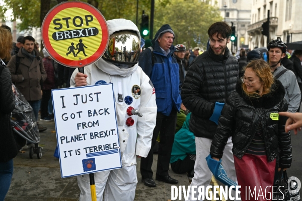 Marche contre le Brexit à Londres