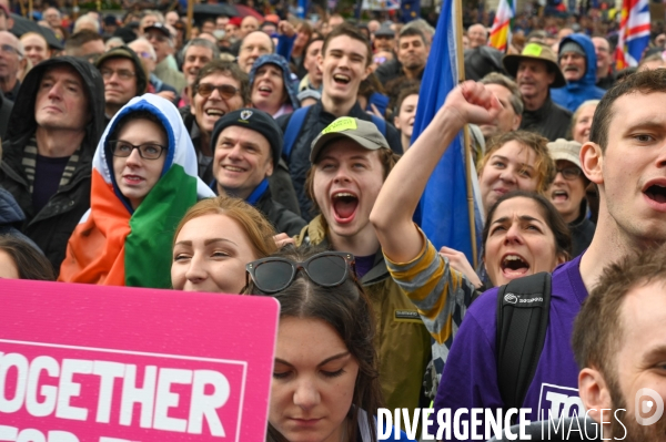 Marche contre le Brexit à Londres