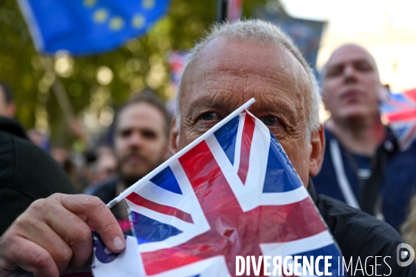 Marche contre le Brexit à Londres