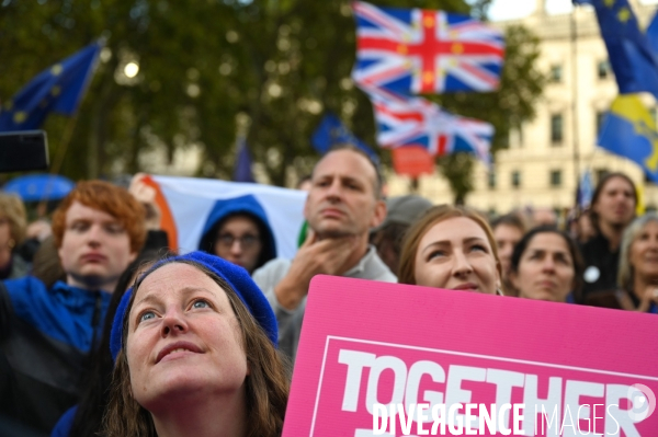 Marche contre le Brexit à Londres