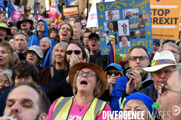 Marche contre le Brexit à Londres