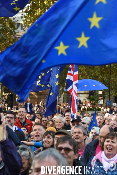 Marche contre le Brexit à Londres