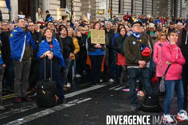 Marche contre le Brexit à Londres