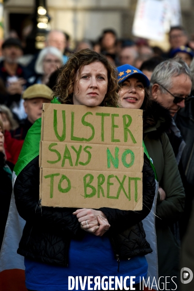 Marche contre le Brexit à Londres