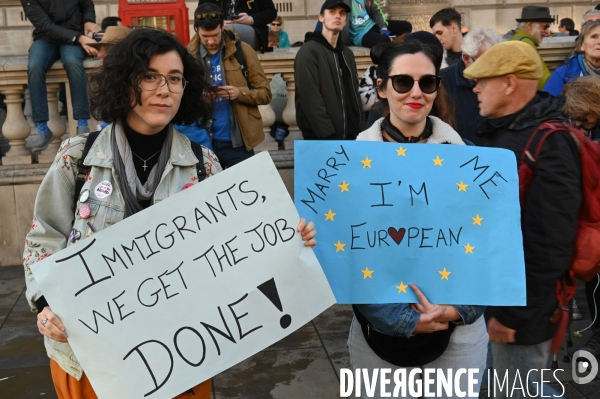 Marche contre le Brexit à Londres