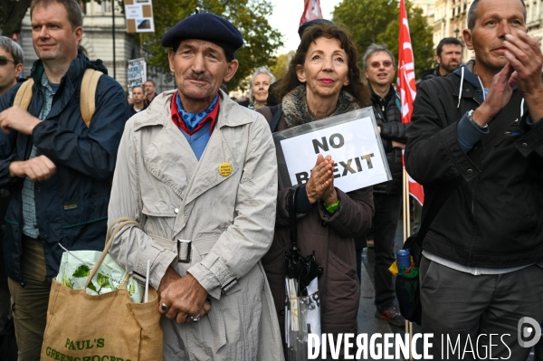 Marche contre le Brexit à Londres