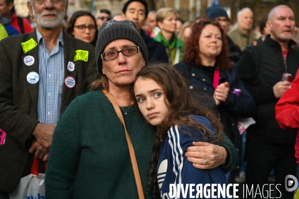 Marche contre le Brexit à Londres