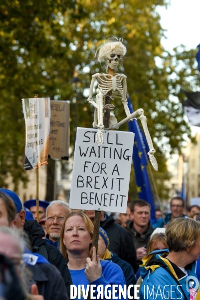 Marche contre le Brexit à Londres