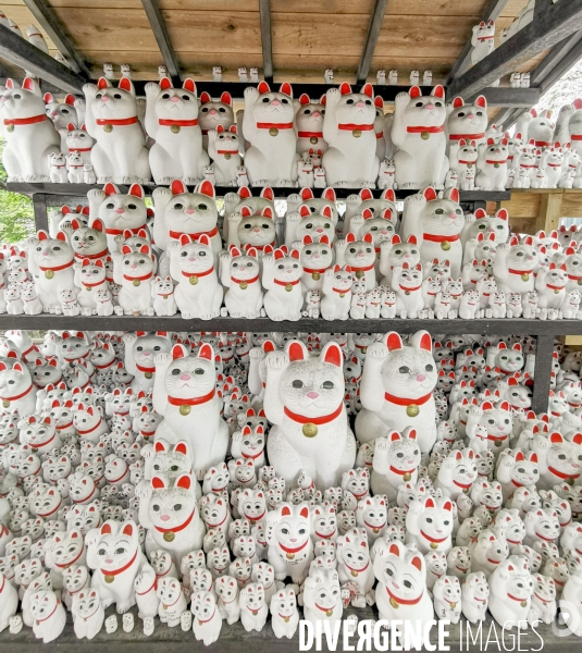 Gotokuji.le temple maneki neko a tokyo